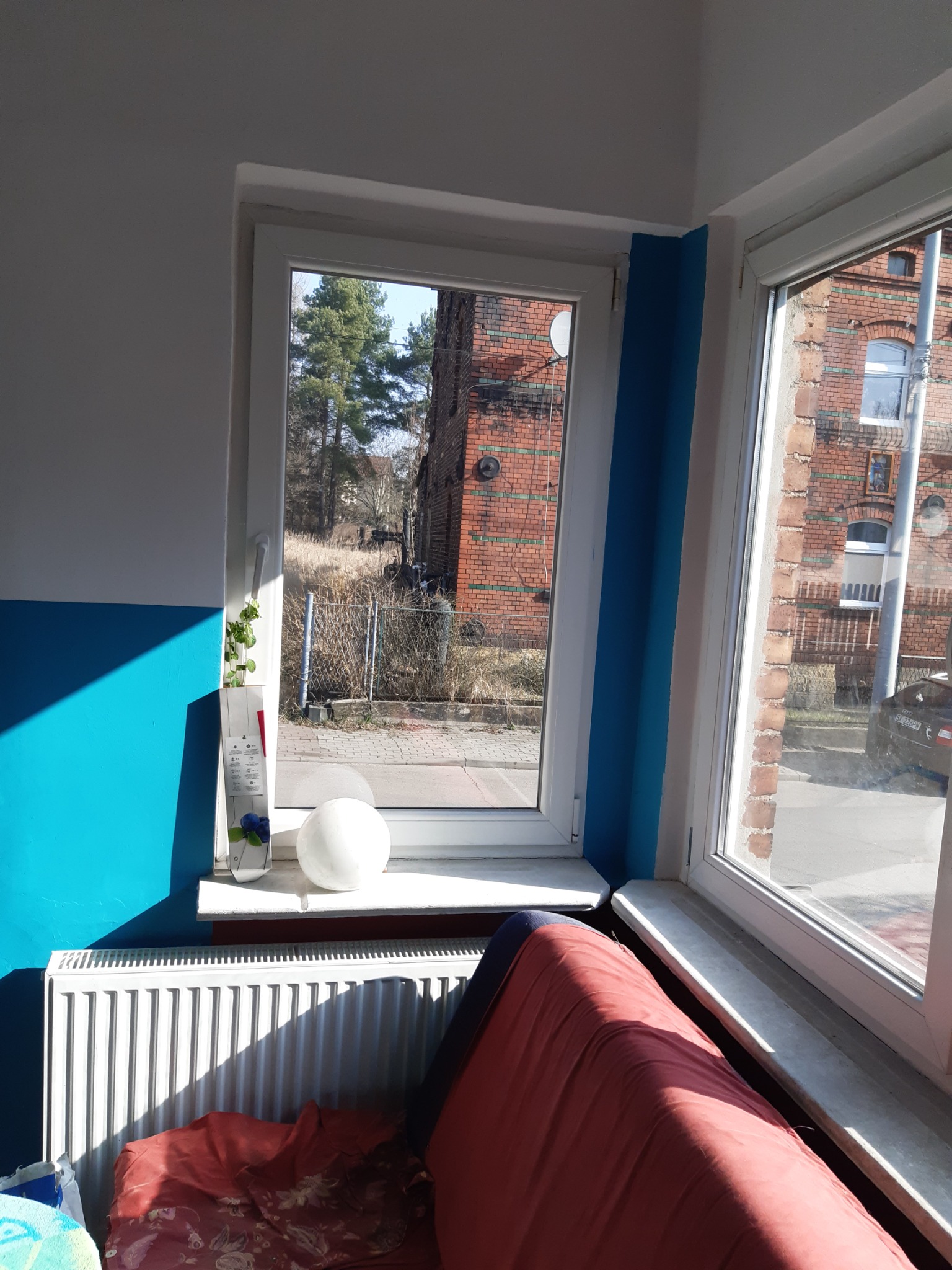 Dwa białe okna PCV z widokiem na ceglany budynek i drzewa, ściana pomalowana na biało i niebiesko, biały grzejnik pod oknem, na parapecie dekoracja z rośliną i białą kulą.