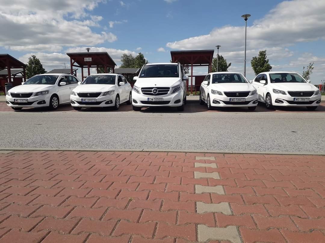 Flota białych samochodów osobowych i busów zaparkowana rzędem na parkingu z kostki brukowej, widoczne tablice rejestracyjne z Warszawy.
