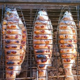 Zagroda Jutrzenki5- winnica, kuchnia, pikniki - pstrąg z żaru