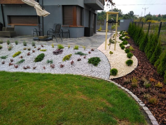 Nowoczesny ogród z białym i beżowym żwirem, niskimi roślinami ozdobnymi, tujami wzdłuż ogrodzenia i świeżo posianą trawą przy domu.