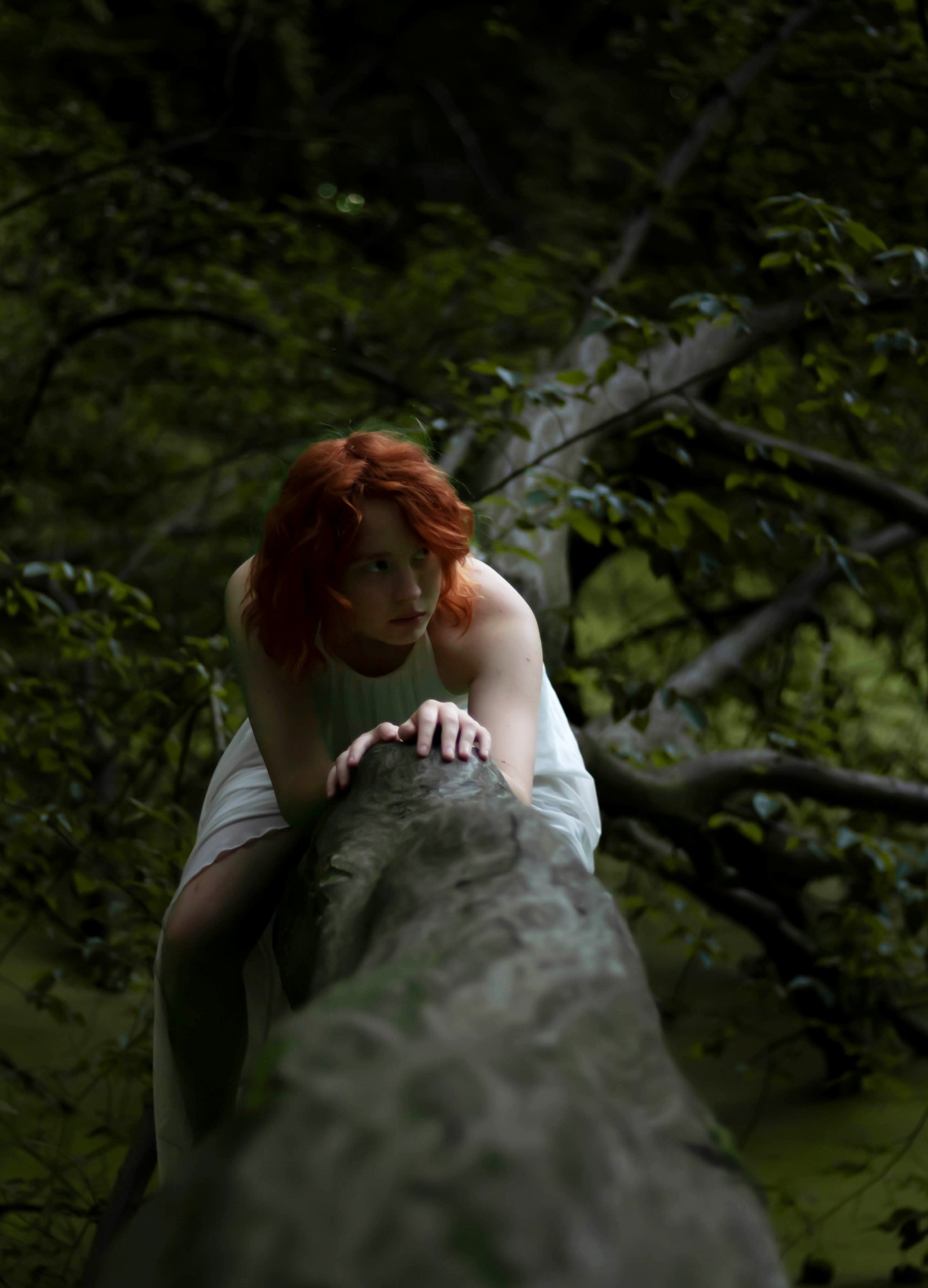 Rudowłosa kobieta w zwiewnej białej sukience opiera się o grubą gałąź drzewa w zalesionym otoczeniu, spoglądając w bok, w tle ciemne liście i konary.