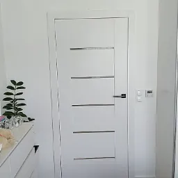 Białe drzwi wewnętrzne z czterema poziomymi, metalowymi wstawkami, zamontowane w białej ścianie, widok z przodu, na podłodze panele w kolorze ciemnego drewna, obok komoda i roślina doniczkowa.