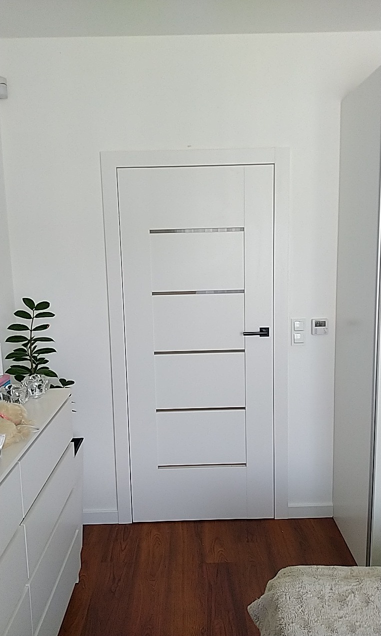 Białe drzwi wewnętrzne z czterema poziomymi, metalowymi wstawkami, zamontowane w białej ścianie, widok z przodu, na podłodze panele w kolorze ciemnego drewna, obok komoda i roślina doniczkowa.
