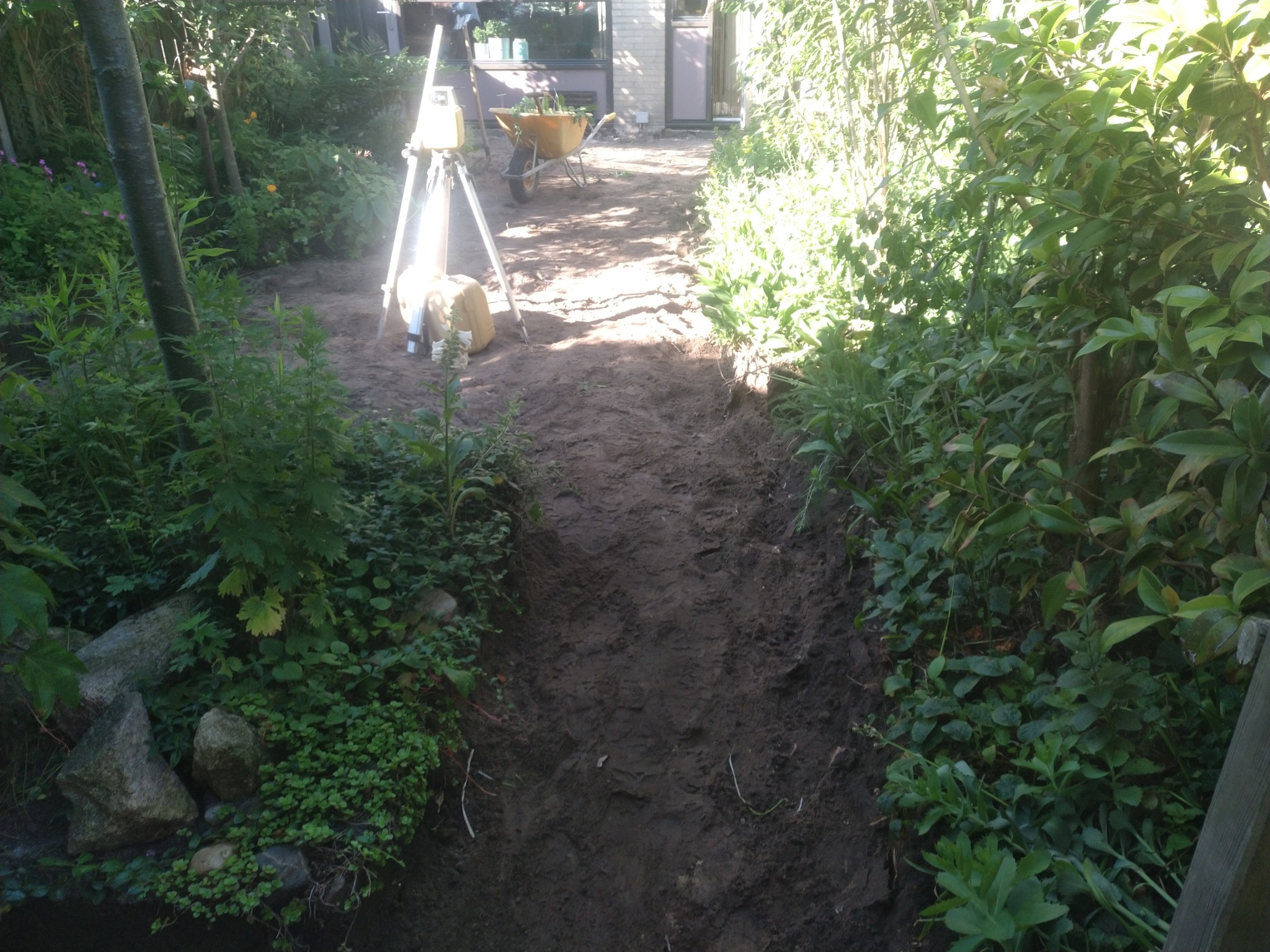 Przygotowanie terenu pod ścieżkę w ogrodzie: wykopany rów, niwelator na statywie, taczka z roślinami w tle, bujna roślinność po bokach.