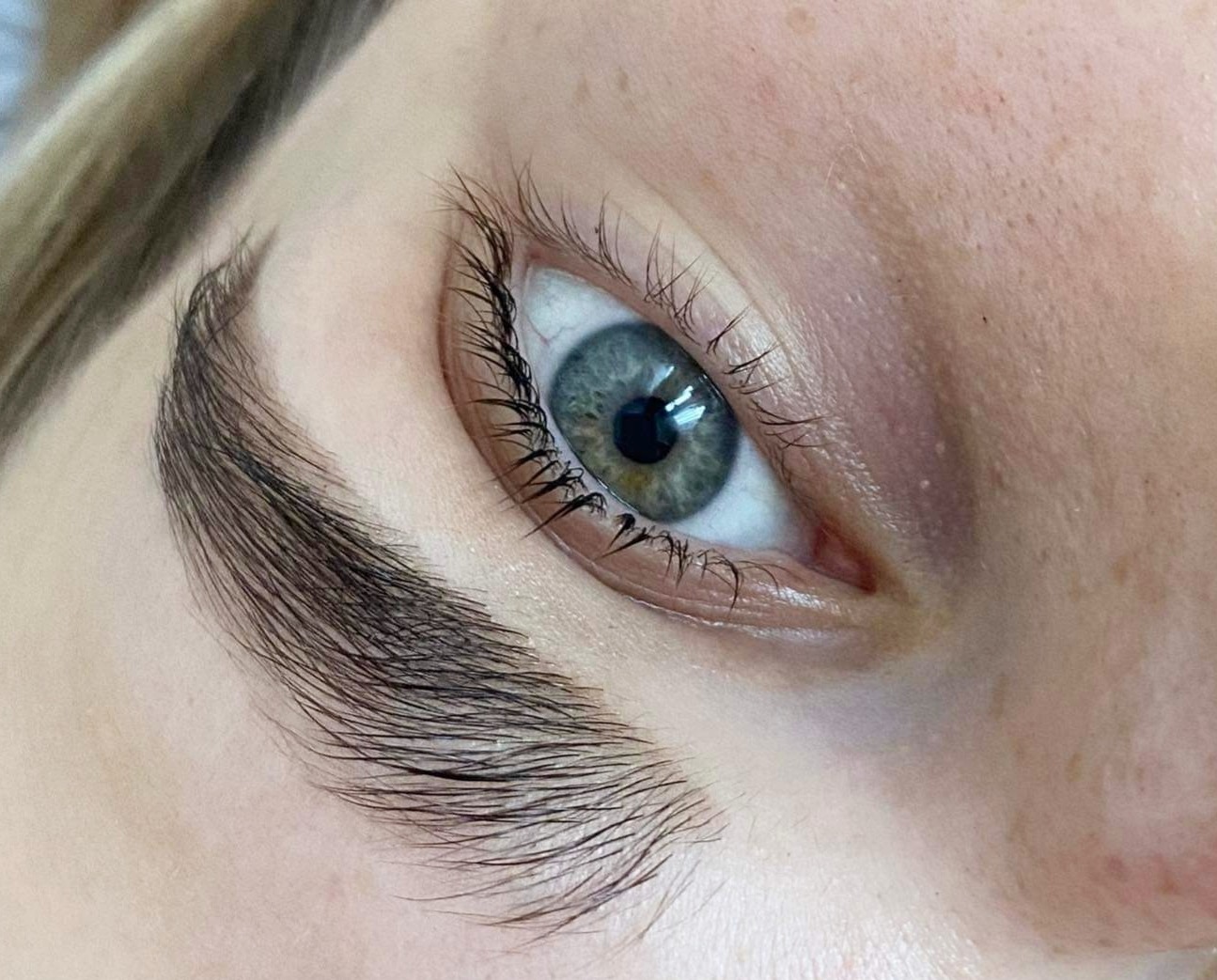 Zbliżenie na oko z widocznymi, wystylizowanymi brwiami po zabiegu laminacji.