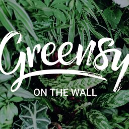 Rośliny i podłoża Szczecin 1