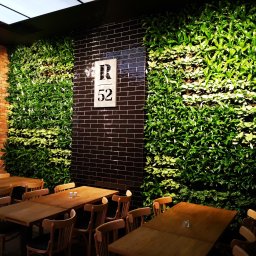 Rośliny i podłoża Szczecin 3