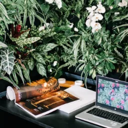 Ściana z różnorodnych roślin doniczkowych w pomieszczeniu, z laptopem wyświetlającym logo 'Greensy' i otwartym magazynem o wystroju wnętrz na biurku.
