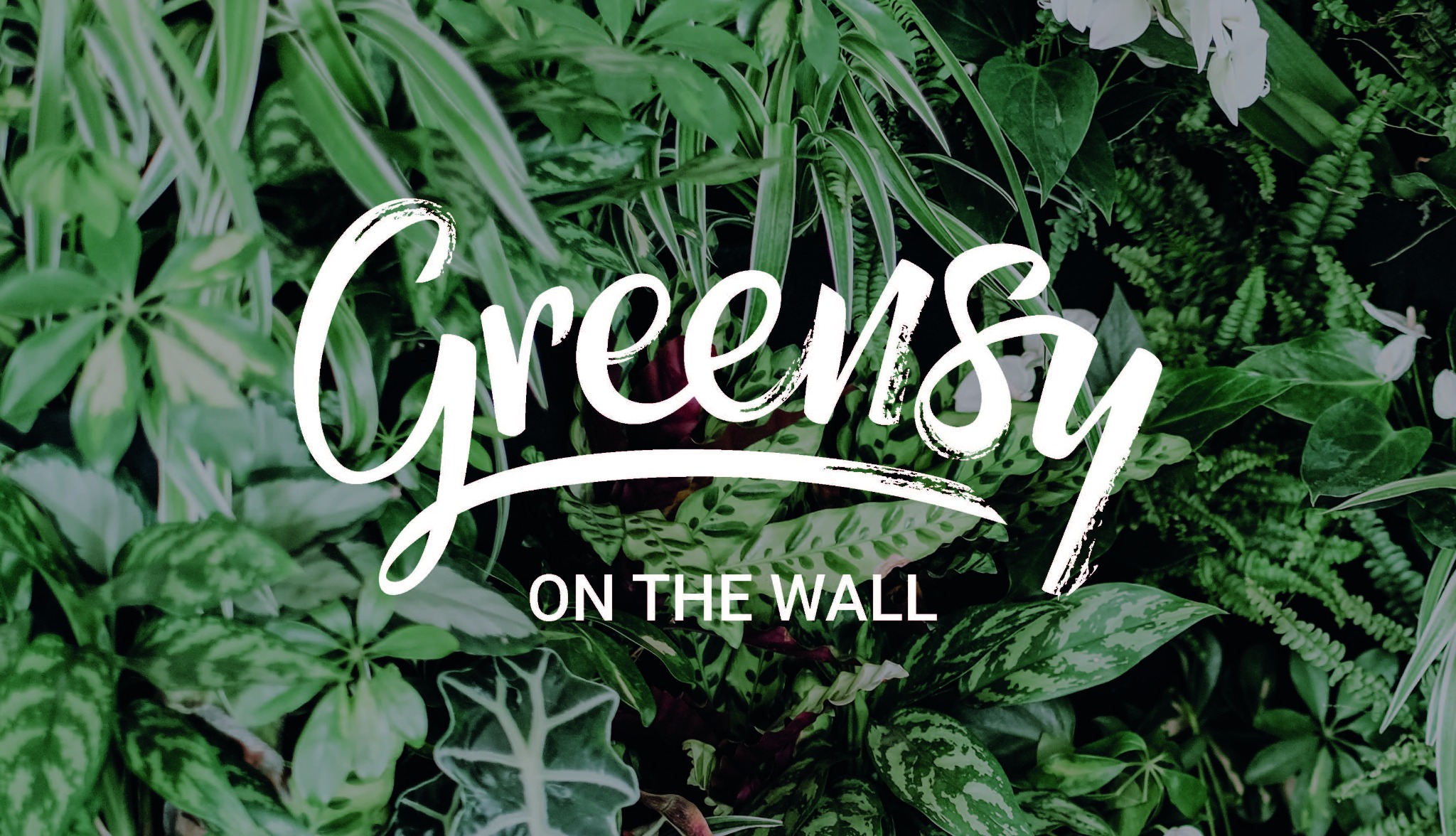 Gęsta kompozycja z różnorodnych zielonych roślin, w tym paproci, z napisem 'Greensy ON THE WALL' w białej czcionce.