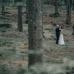 Para młoda w objęciach, w leśnej scenerii z drzewami w tle, ujęcie przez drzewo na pierwszym planie, stonowana kolorystyka.