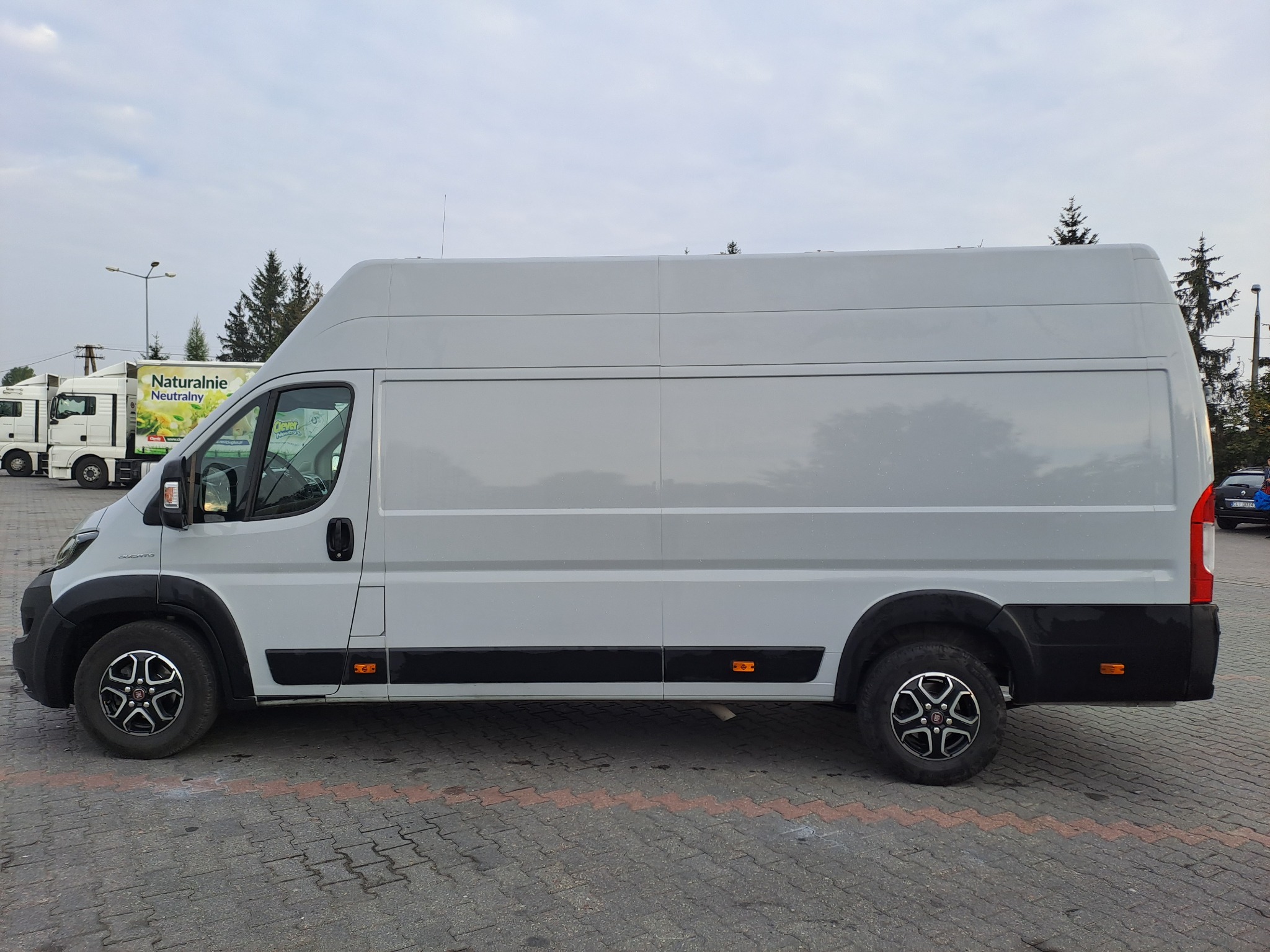 Biały, dostawczy bus Fiat Ducato z wysokim dachem, zaparkowany na placu z kostki brukowej, widok z boku, na drugim planie inne samochody i drzewa.