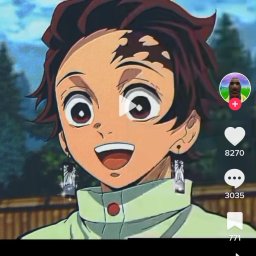 Wyprowadzanie psów Hrubieszów 1