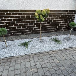 Pielęgnacja ogrodów Rzeszów 4