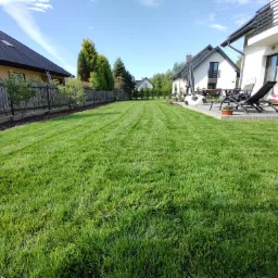 Perfekcyjnie skoszony trawnik w przydomowym ogrodzie z widocznymi pasami, nowoczesny dom z tarasem i meblami ogrodowymi w tle, ogrodzenie z drewnianych desek wzdłuż trawnika.