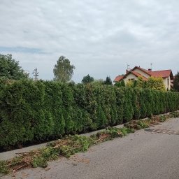 Pielęgnacja ogrodów Rzeszów 27