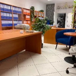 Jasne biuro z drewnianymi meblami, regałami wypełnionymi segregatorami, roślinami doniczkowymi i krzesłami dla klientów. Na biurku stoi przezroczysta przegroda ochronna.