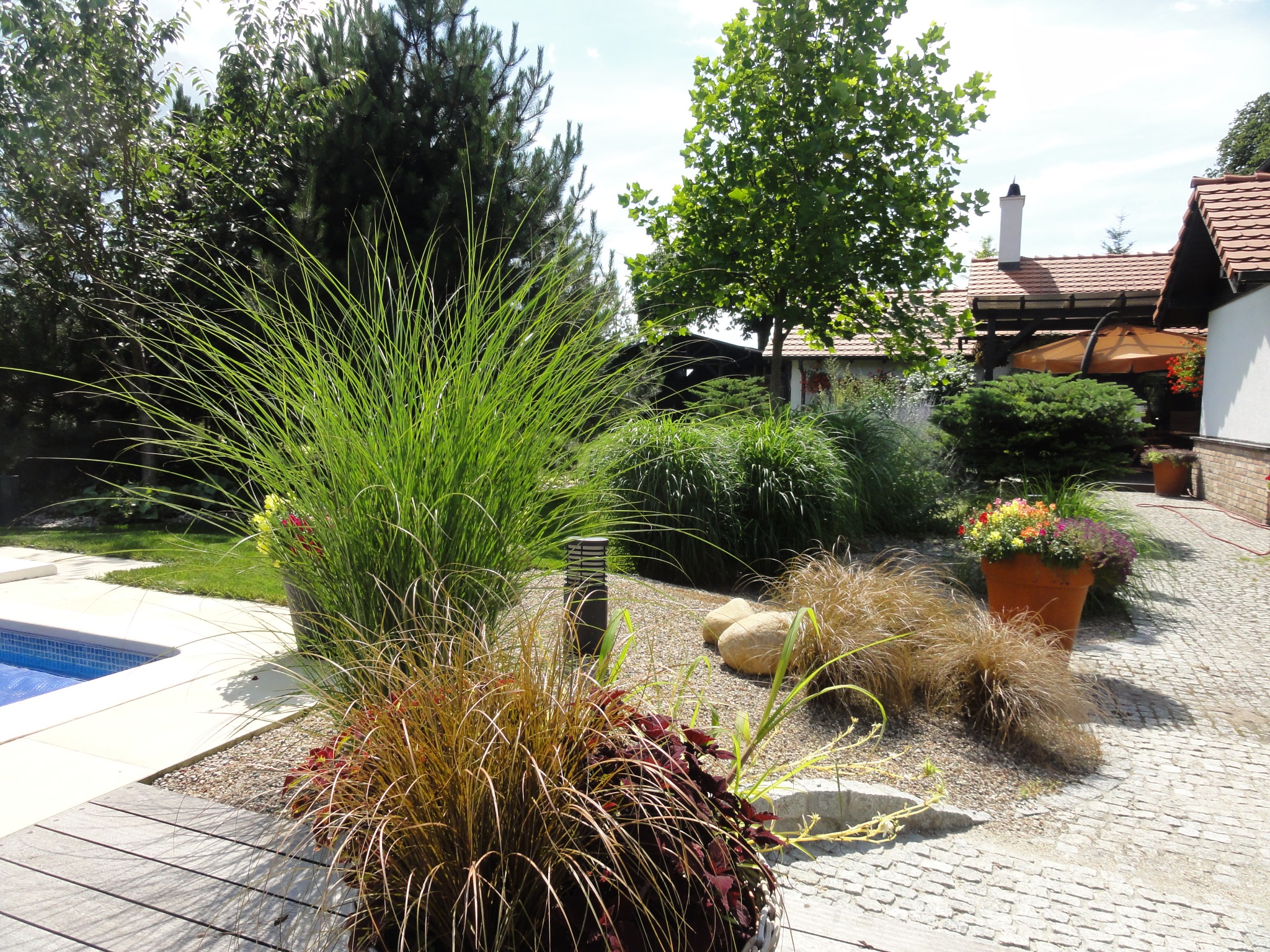 Aranżacja ogrodu z ozdobnymi trawami w donicach, kamieniami i kostką brukową, widok na basen i dom w tle.