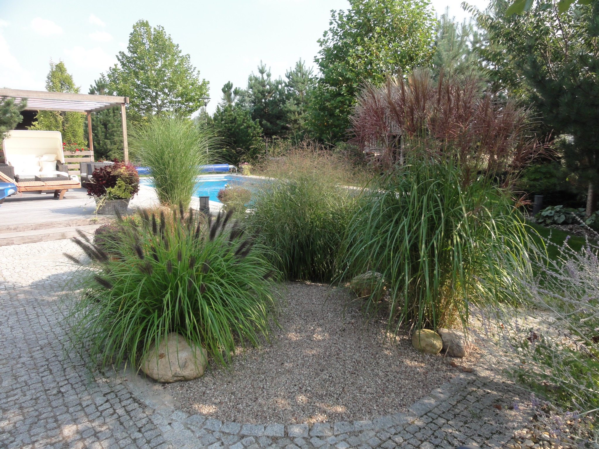 Ogród z ozdobnymi trawami i kamieniami na żwirowym podłożu, w tle basen i altana z meblami ogrodowymi.