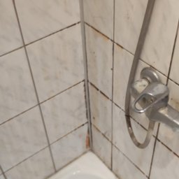 Agnieszka Gutman - Brudna kabina prysznicowa z widocznymi plamami i osadami na fugach płytek oraz rdzą przy odpływie, widok z góry na biały brodzik i chromowaną baterię.