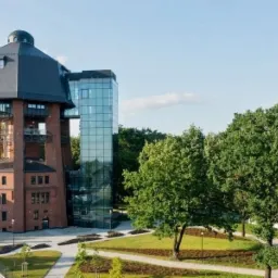 Pielęgnacja drzewostanu na terenach zabytkowych nowej inwestycji w Zabrzu.