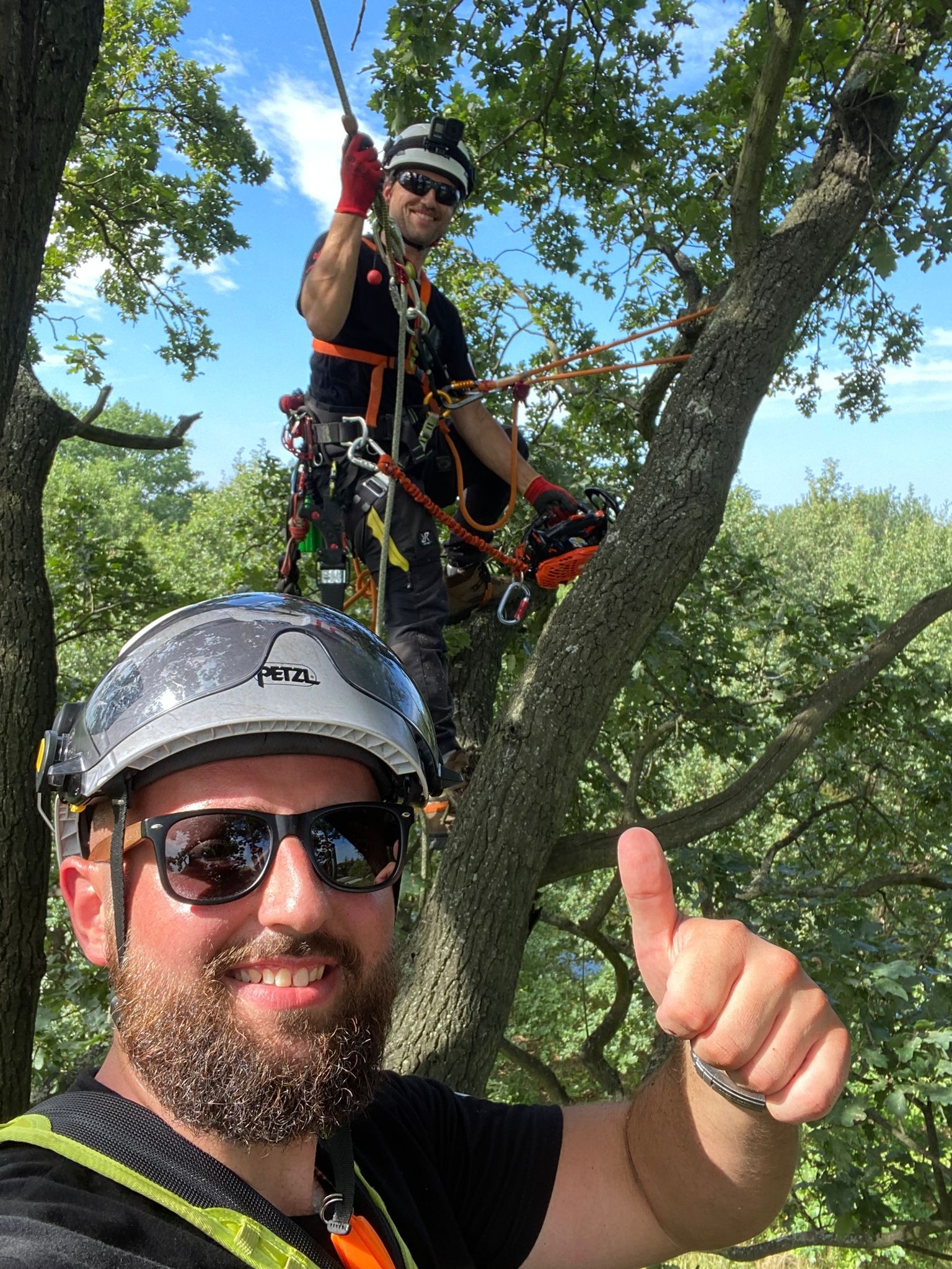 Dwóch arborystów w pełnym rynsztunku na drzewie, jeden z piłą łańcuchową, drugi pozuje z kciukiem w górę, obaj w okularach przeciwsłonecznych i kaskach ochronnych, widok z dołu.