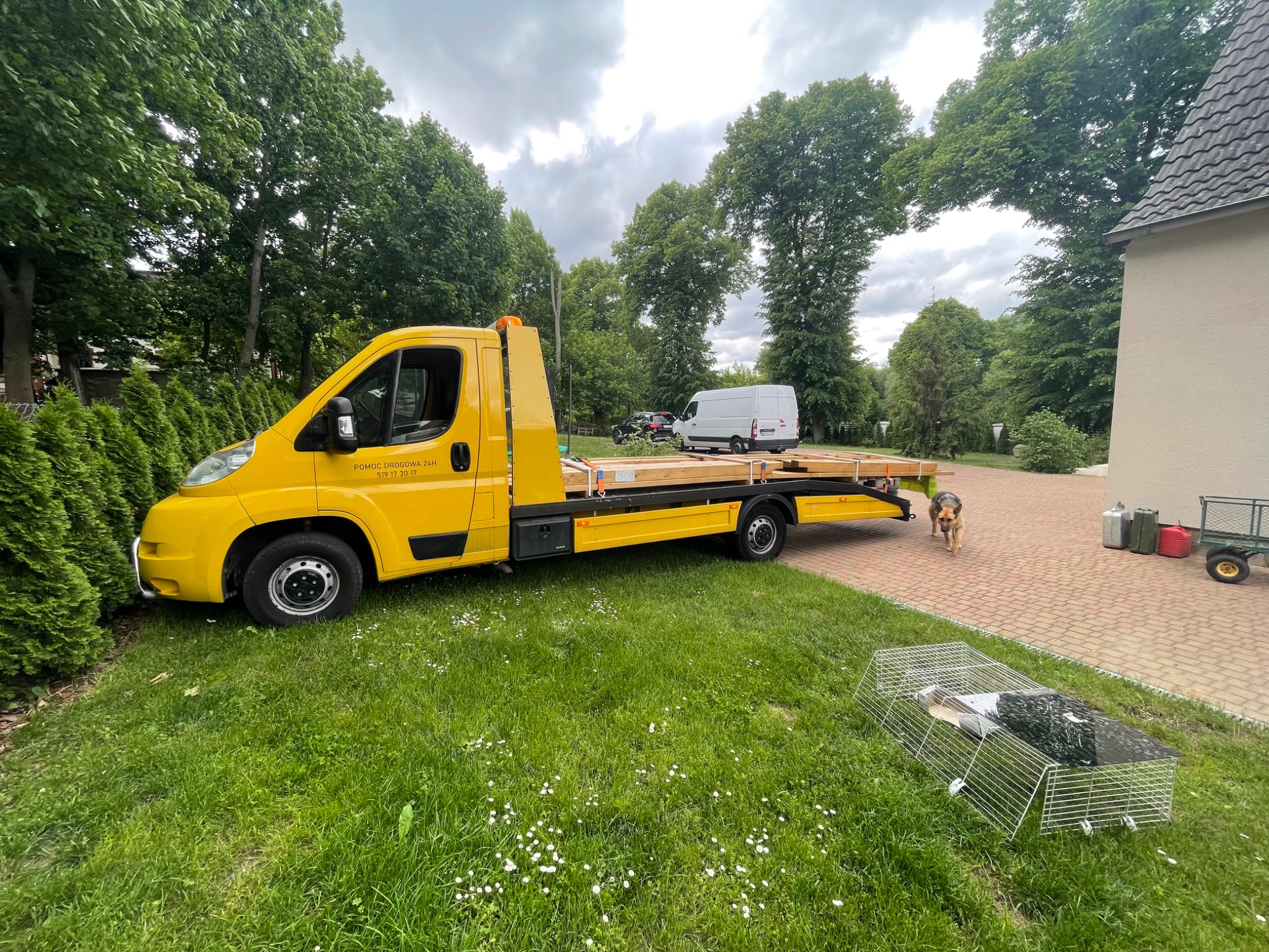 Żółta laweta z napisem 'Pomoc Drogowa 24H' zaparkowana na trawniku w Szczecinie, za nią zaparkowany biały bus, obok lawety stoi pies rasy owczarek niemiecki.