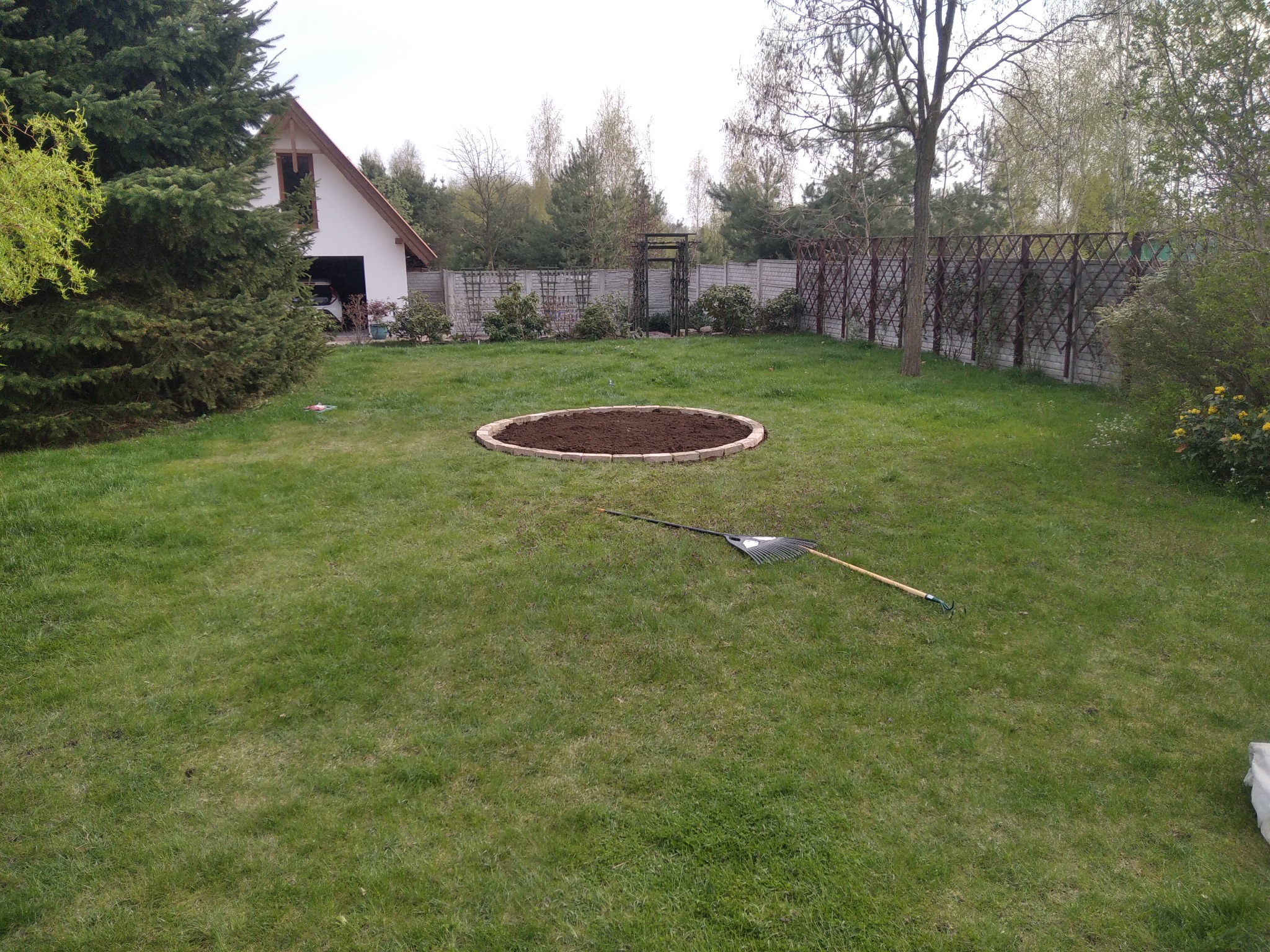 Okrągły klomb z ziemią otoczony kostką na trawniku, grabie leżące obok, w tle dom i ogrodzenie.