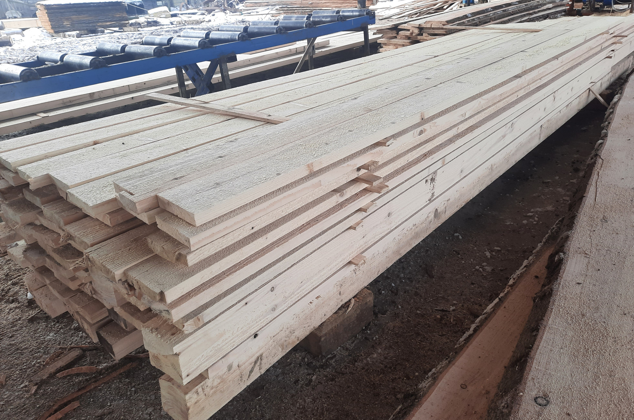 Stos świeżo przetartego jasnego drewna ułożony w magazynie, widoczny fragment niebieskiego transportera rolkowego w tle.