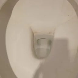 Zaniedbana muszla klozetowa z widocznymi zabrudzeniami i osadami wewnątrz, widok z góry.