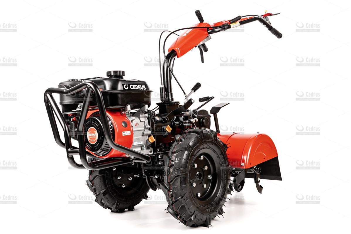 Czerwono-czarny glebogryzarkowy traktor Cedrus z silnikiem spalinowym, widoczny z przodu na białym tle. Sprzęt ogrodniczy do spulchniania gleby.