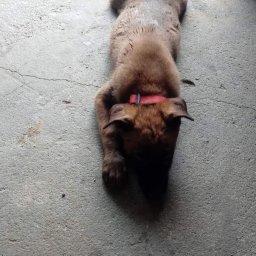 MW - Zabudowa Płytami GK Oborniki Śląskie