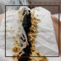 Dymiąca się aplikacja z ziół i korzenia na białym ręczniku na ciele podczas zabiegu medycyny alternatywnej.