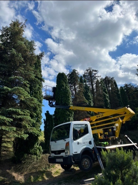 Pielęgnacja krzewow