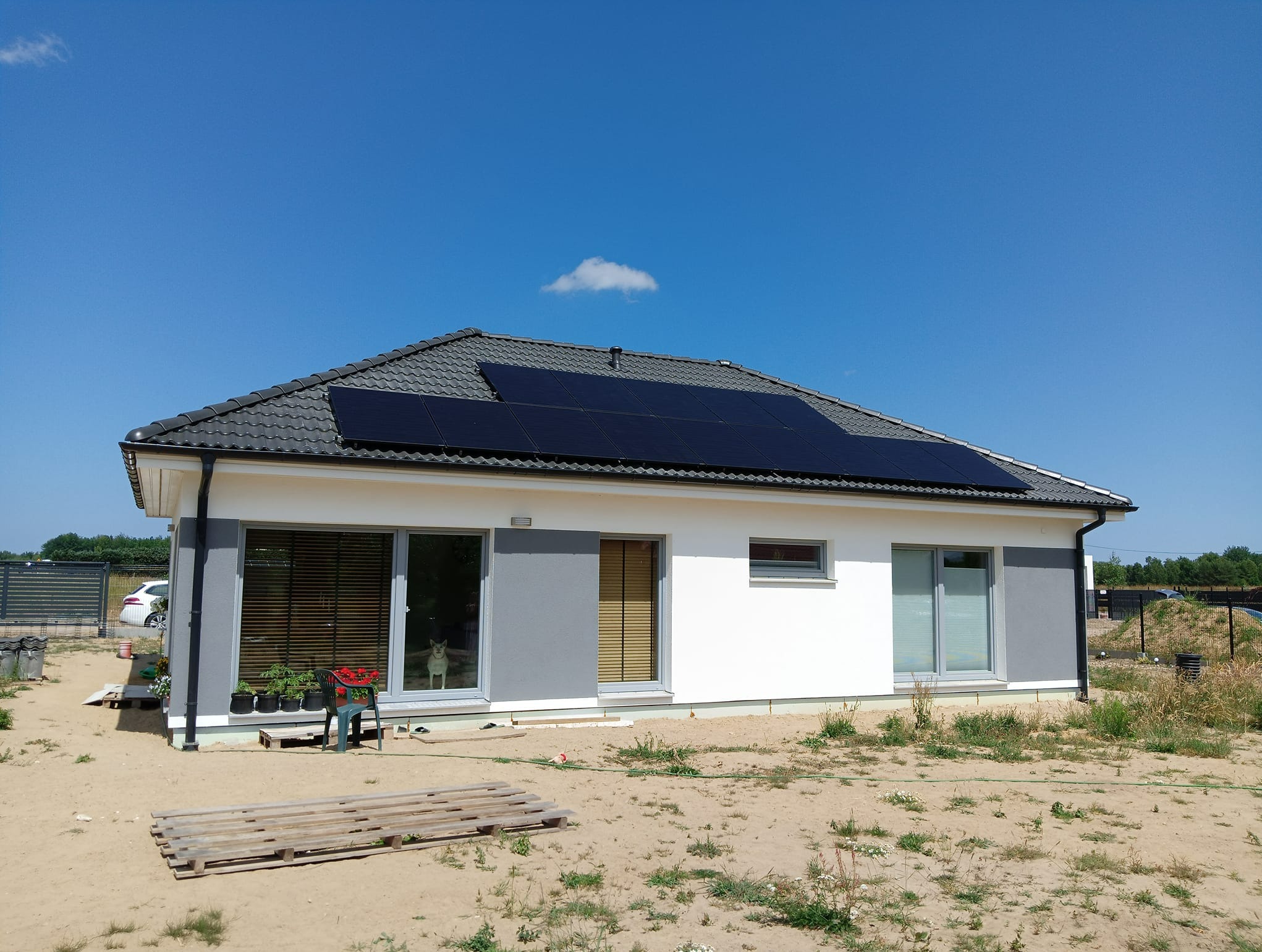 Nowoczesny dom jednorodzinny z szarym dachem i panelami słonecznymi na dachu, widok z zewnątrz, w oknie stoi pies rasy owczarek szwajcarski.