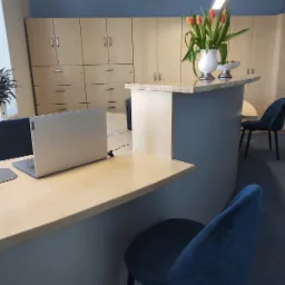 Biuro z recepcją: laptop na biurku, kwiaty w wazonie, szafki w tle, nowoczesne krzesła.