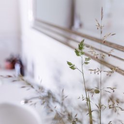 Remonty mieszkań Bolechowice 1