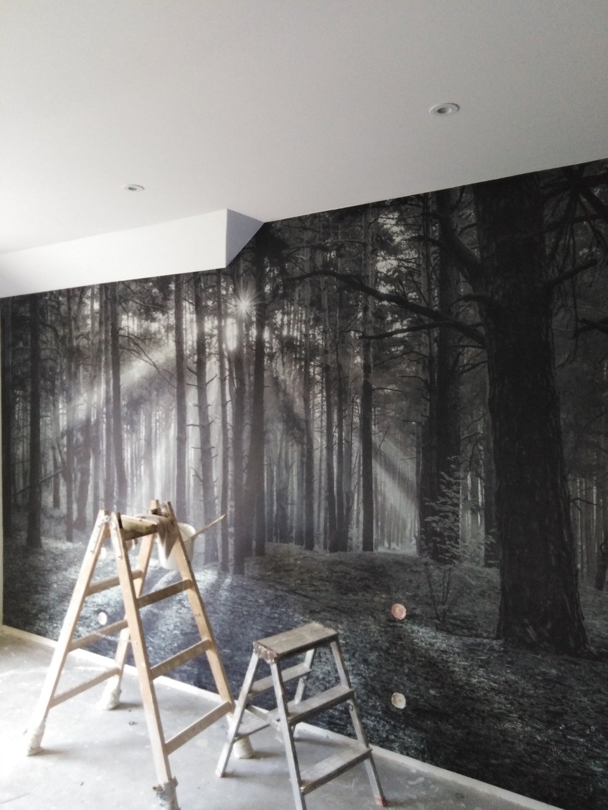 Fototapeta z motywem leśnym na ścianie w trakcie montażu, widoczne drabiny malarskie i fragment sufitu z oświetleniem punktowym.