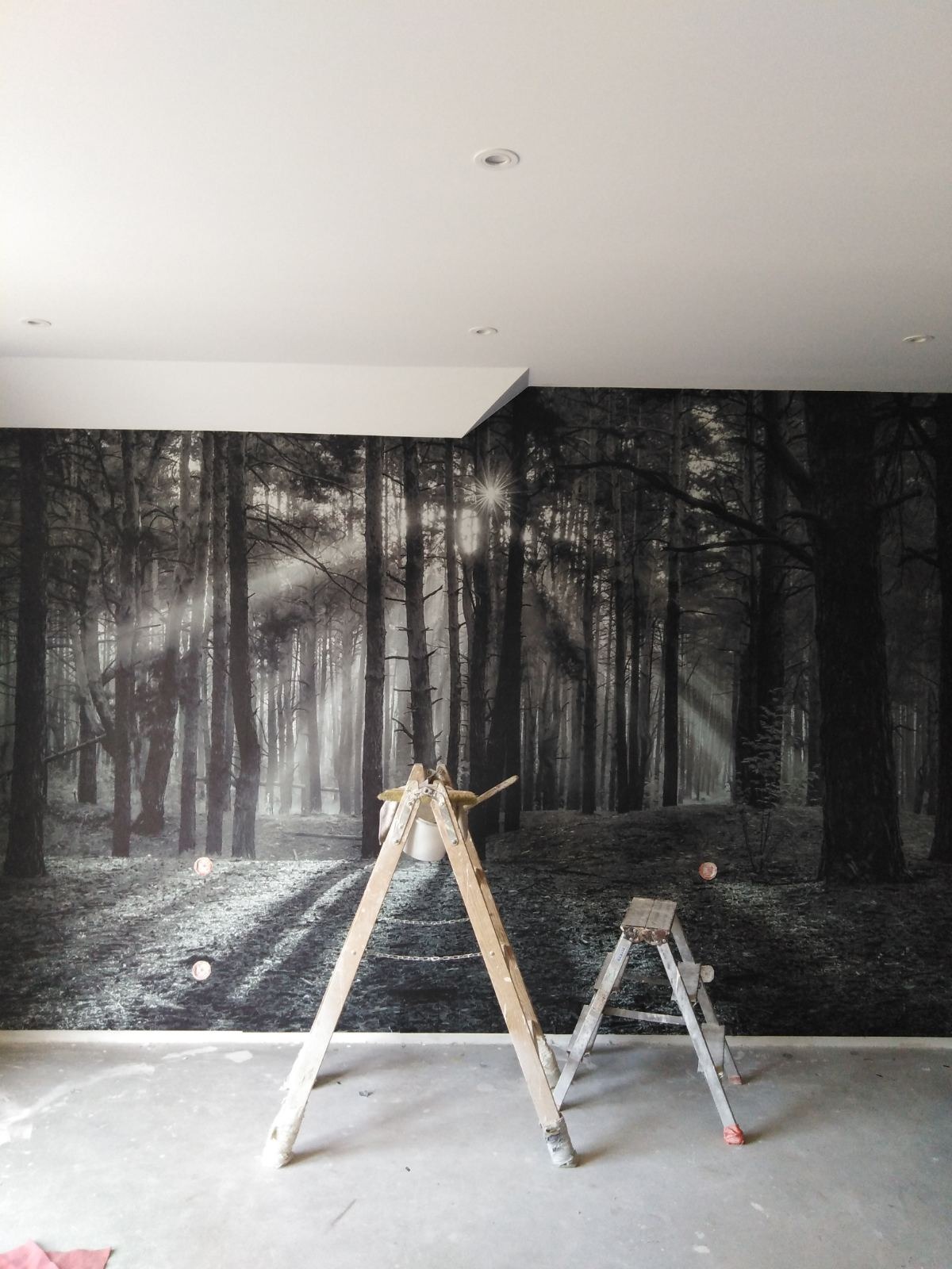Montaż fototapety z motywem leśnym, widoczne dwie drabiny malarskie i ślady kleju na ścianie.