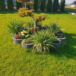 IWONA PALUCH firma usługowa ogrodnictwo - Mycie Okien Dachowych Jordanów