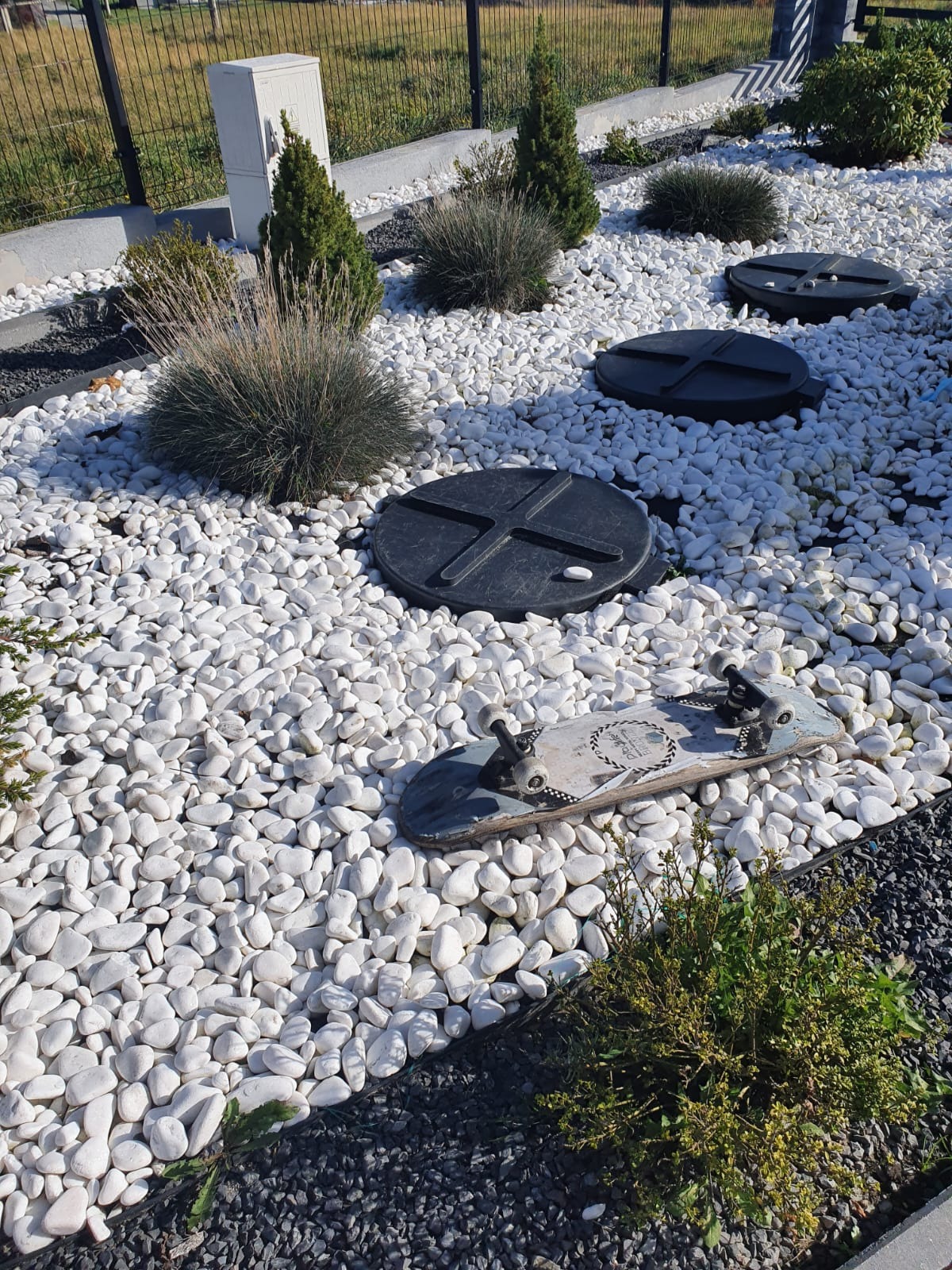 Ogród z białych kamieni z niskimi krzewami, małymi drzewkami iglastymi i włazami kanalizacyjnymi, z deskorolką leżącą na kamieniach.