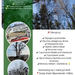 Wycinka drzew Pomiechówek 1