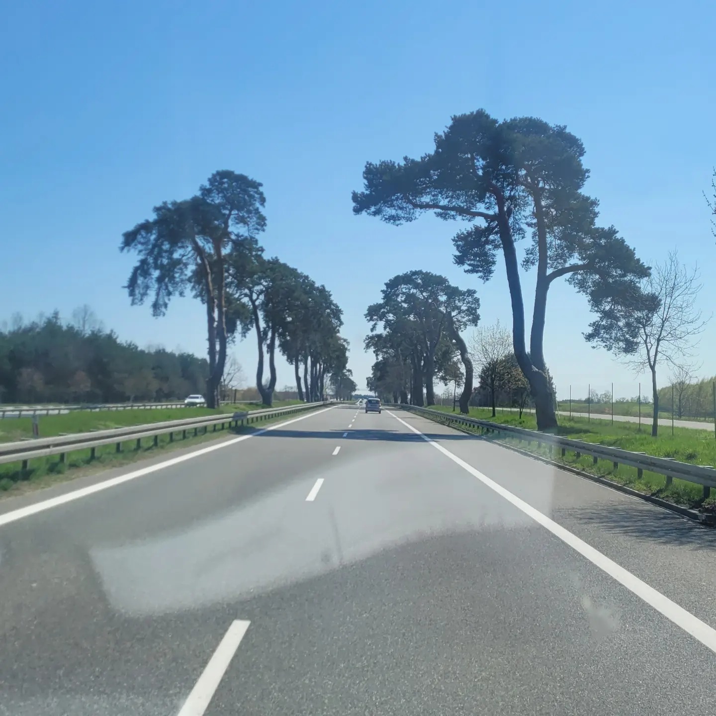 Widok z wnętrza pojazdu na autostradę w okolicach Warszawy, obsadzoną wysokimi drzewami, w oddali jadące samochody, błękitne niebo.