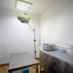Gabinet weterynaryjny Dr Łapka - Jasne, minimalistyczne wnętrze gabinetu zabiegowego z metalowym stołem i lampą operacyjną na statywie; na blacie ze stali nierdzewnej sterylizator i pojemniki z akcesoriami.