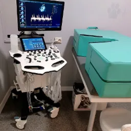 Aparat USG marki VINNO VET 20 z widocznym obrazem serca na monitorze, obok leżanka z turkusowymi podkładkami, pod leżanką karton z wizerunkiem kota.