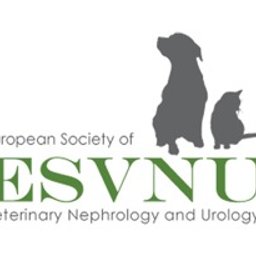 Weterynarz Gliwice 4