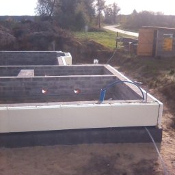 Glazurnik Kożuchów 2