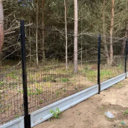 Czarna siatka ogrodzeniowa panelowa z podmurówką betonową na tle lasu sosnowego.