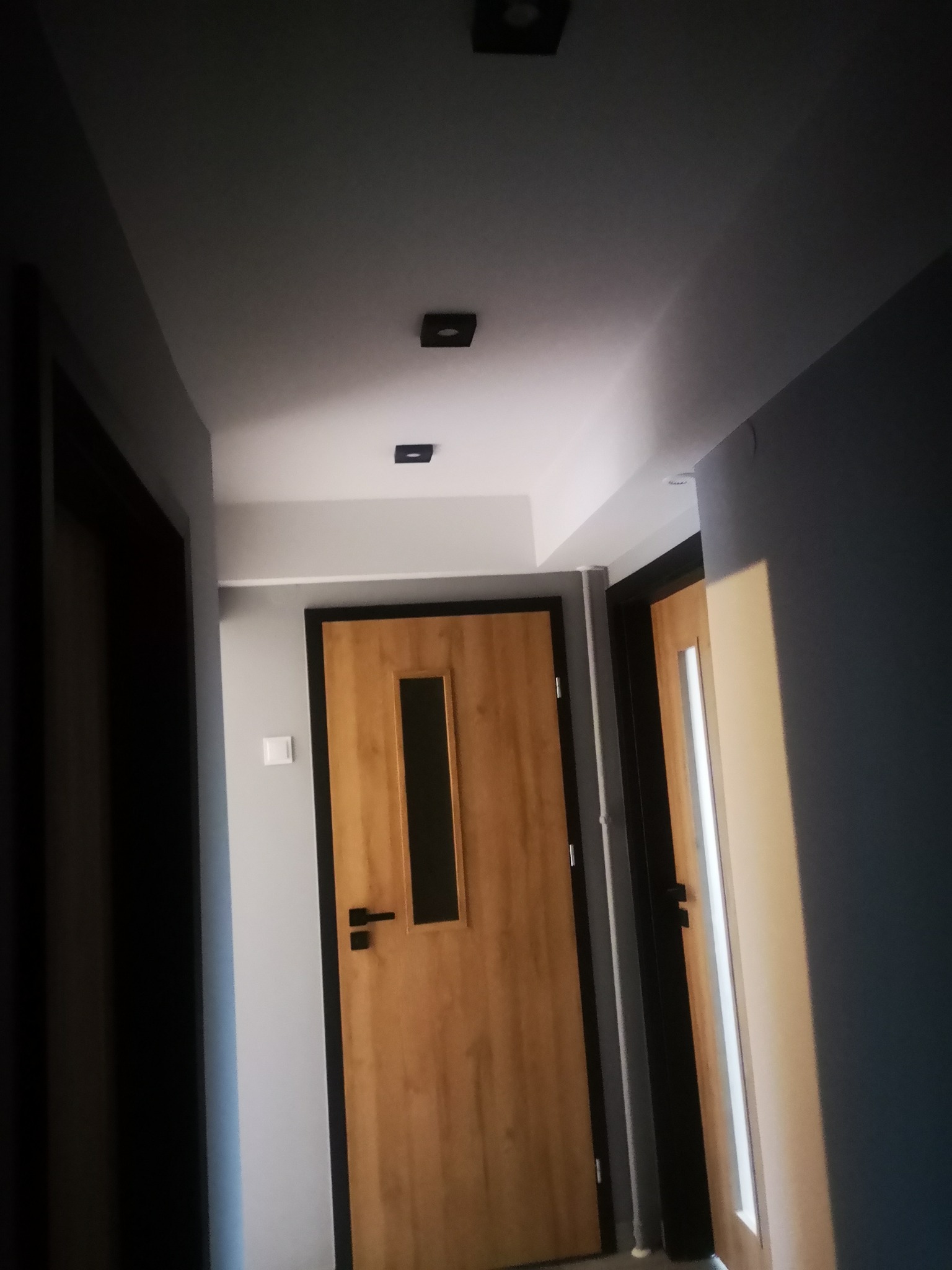 Korytarz w mieszkaniu z dwiema zamontowanymi drzwiami w kolorze drewna z czarnymi ramami i klamkami, widoczne czarne, kwadratowe lampy sufitowe.