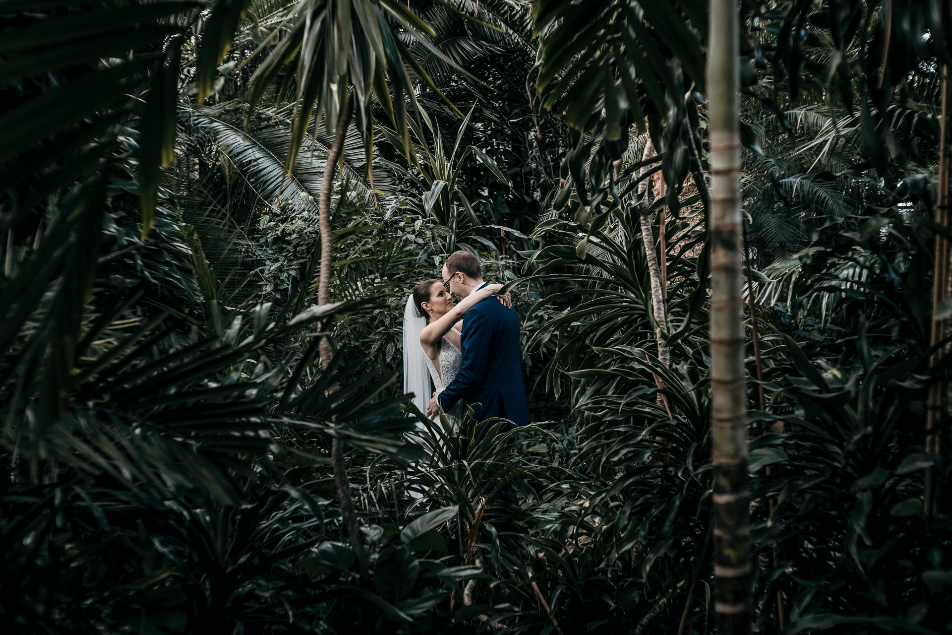 Para młoda w objęciach w tropikalnym ogrodzie botanicznym, panna młoda w białej sukni z welonem, pan młody w granatowym garniturze, otoczeni gęstą roślinnością.