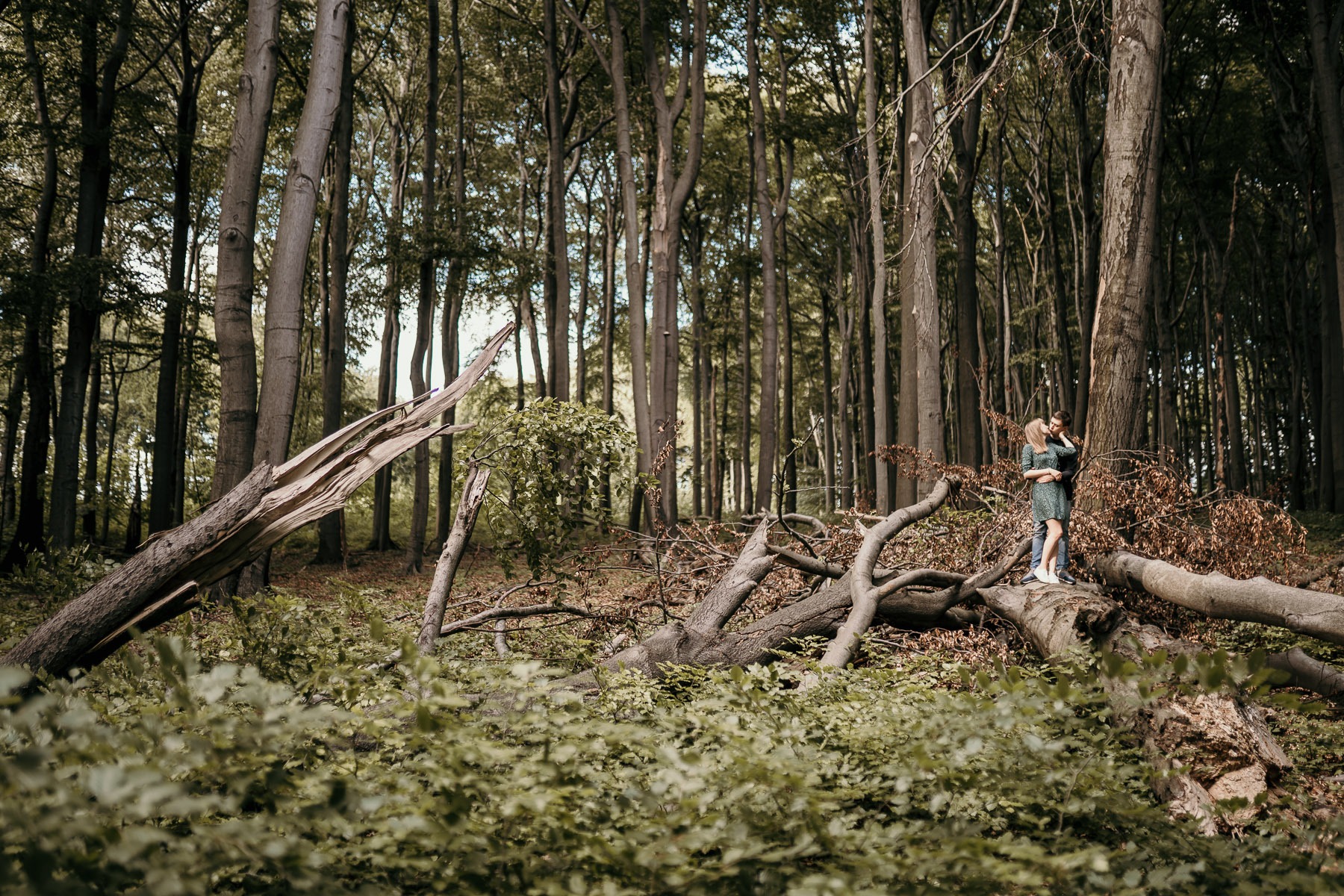 Para w lesie, kobieta w zielonej sukience i mężczyzna obejmujący się na powalonym drzewie, wysokie drzewa w tle.
